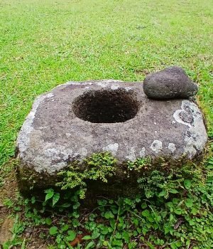 20251013 161606(0) (1)