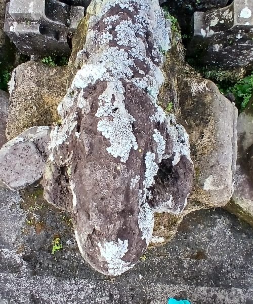 salinan 20251013 153042